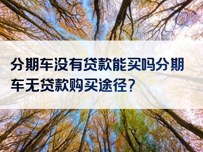 分期车没有贷款能买吗分期车无贷款购买途径？