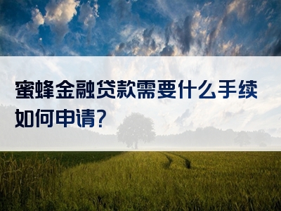 蜜蜂金融贷款需要什么手续如何申请？