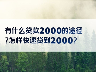有什么贷款2000的途径？怎样快速贷到2000？