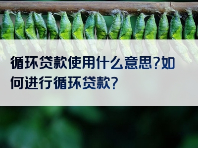 循环贷款使用什么意思？如何进行循环贷款？
