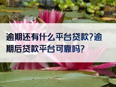 逾期还有什么平台贷款？逾期后贷款平台可靠吗？