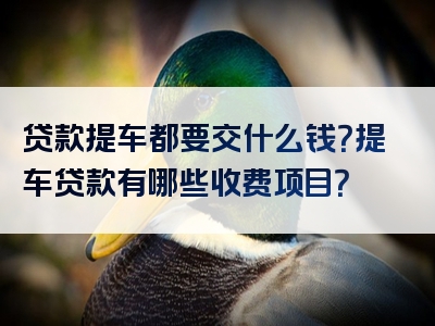 贷款提车都要交什么钱？提车贷款有哪些收费项目？