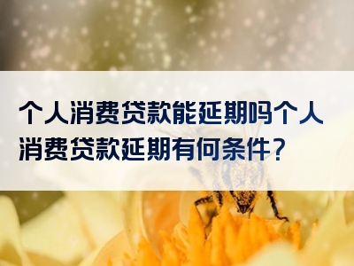 个人消费贷款能延期吗个人消费贷款延期有何条件？