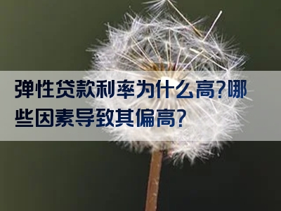 弹性贷款利率为什么高？哪些因素导致其偏高？