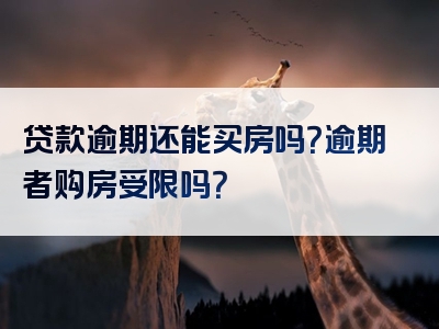 贷款逾期还能买房吗？逾期者购房受限吗？