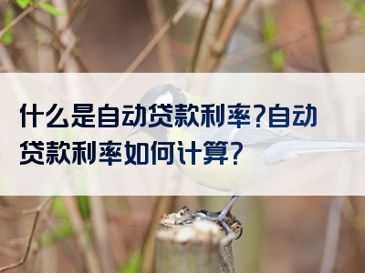 什么是自动贷款利率？自动贷款利率如何计算？
