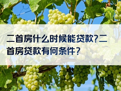 二首房什么时候能贷款？二首房贷款有何条件？