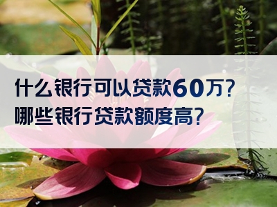 什么银行可以贷款60万？哪些银行贷款额度高？