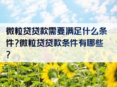 微粒贷贷款需要满足什么条件？微粒贷贷款条件有哪些？